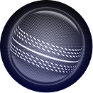 Cricket ball